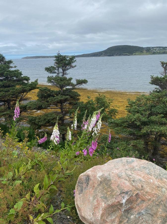 Rocky Harbour Oceanfront Villa Kültér fotó