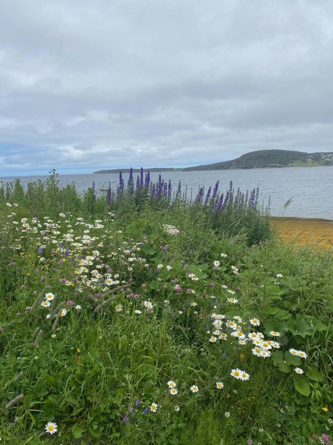 Rocky Harbour Oceanfront Villa Kültér fotó